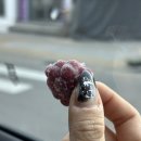 포토이즘박스원종점