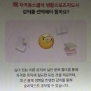 생활체육지도자2급인강 시험 정보 및 일정 단기간 독학 가능합니다!