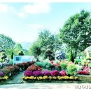 대공원나들길 이미지