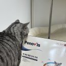 벳케어동물병원 | [페노비스] 집에서 하는 고양이 건강검진!!! 벳케어플러스 영양 종합 검사 키트