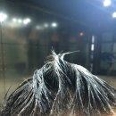 남자친구 헤어스타일! 신천역 BEK 남성전문헤어컷 미용실!