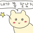 더치콩 이미지