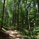 버스정류장 06-255 이미지