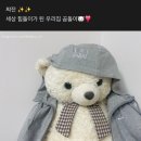 무무사우르스