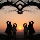 사랑나무 이미지