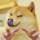 에스휘트니스 이미지