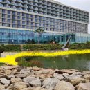 인천국제공항스카이칠십이골프장 이미지