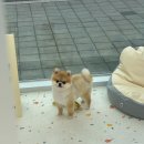 대빵하우스 이미지