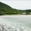 막국수춘천댁닭갈비 이미지