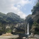 남원읍-90 | [제주투어패스]제주도여행 내돈내산 48시간 겨울 제주도 여행코스 2탄