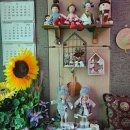 도토리노래연습장 이미지