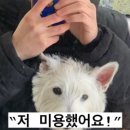하이서울공인중개사사무소 이미지