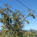 대룡마을회관 이미지