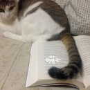 놀아줘 이미지