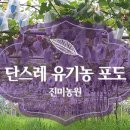 진미농원 이미지