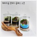 화림원예 이미지