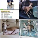 동물병원 Dr.정 이미지