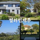 제주 성산일출봉 숙소, 컬러인제주펜션 로즈마리 후기