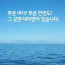 털보애견 이미지