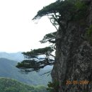 청산 이미지