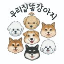 우리똥강아지 | 우리집똥강아지 반려견과 함께한 즐거운 하루