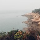 장봉뜰 이미지