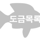 다해줄게