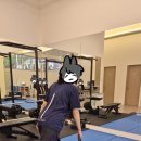 수원체형교정 클래스바디 수원광교점 재방문! 골반 통증 개선하는 체형교정 수업 후기