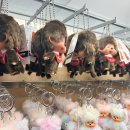 몬치치 팝업 KARYLAND in 더현대 서울 방문 후기