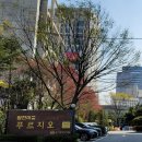 대우푸르지오 | 수지구동천동커튼추천 원천마을대우푸르지오 망사자수...블라인드 시공후기 by동대문커튼블라인드전문...