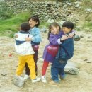 기린초교병설유치원 이미지