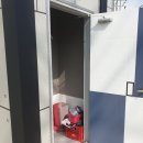 전남식물병원 네이버블로그