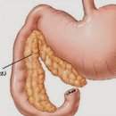 24시 더케어 동물의료센터 이미지