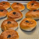 사하단팥빵
