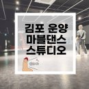 라인댄스&성인발레 | [마블댄스스튜디오] 김포댄스학원 장기동댄스학원 김포댄스연습실 K-POP 원데이클래스 후기