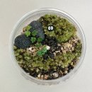 노아의작은도서관 이미지