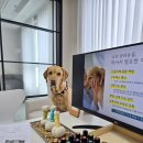 홈 스튜디오 원데이클래스 이미지