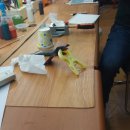 백크리닝 이미지