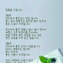 칠월 이미지