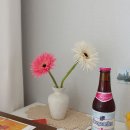 와이에스세라믹스 (YS Ceramics) 네이버블로그
