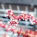 코끼리바위앞민박 이미지