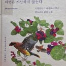 자연은 | 토론후기] 자연은 계산하지 않는다