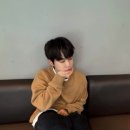 노바스텔라 이미지