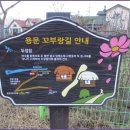 꼬부랑길 이미지