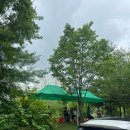 둥지백반 | 대전 둥지톳밥 백반집 평일 오픈런 후기