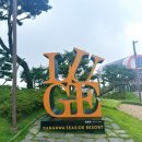 가볼만한 곳 : 강화 씨사이드 리조트 루지 탑승 꿀팁 상세한 내돈내산 후기 임산부/노약자 전망대 꿀팁...