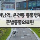 큰별동물의료원 이미지