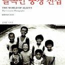 골목전집 이미지