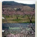 영담한지미술관 이미지