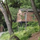 라드라비 이미지